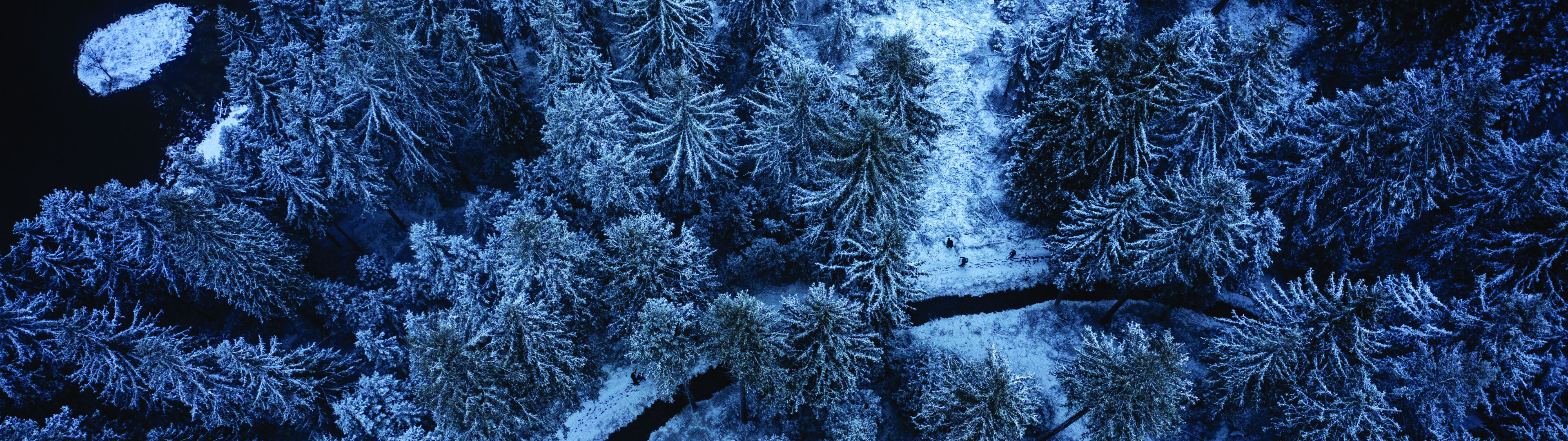 冬景圖 Frozen Path – (3840×1080 and 5120×1440 Wallpaper) | 32:9